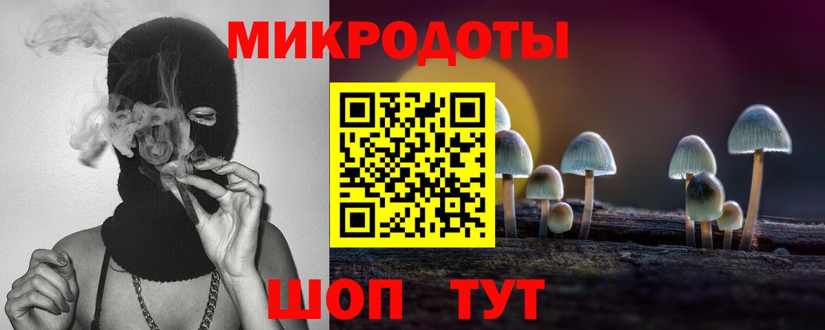 Псилоцибиновые грибы GOLDEN TEACHER  как найти наркотики  Вход с VPN  Усть-Джегута  Галлюциногенные грибы Psilocybine cubensis 